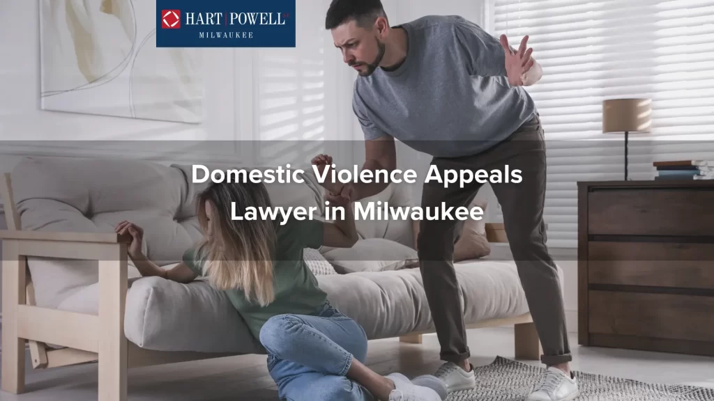 Domestic Violence Appeals Lawyer in Milwaukee